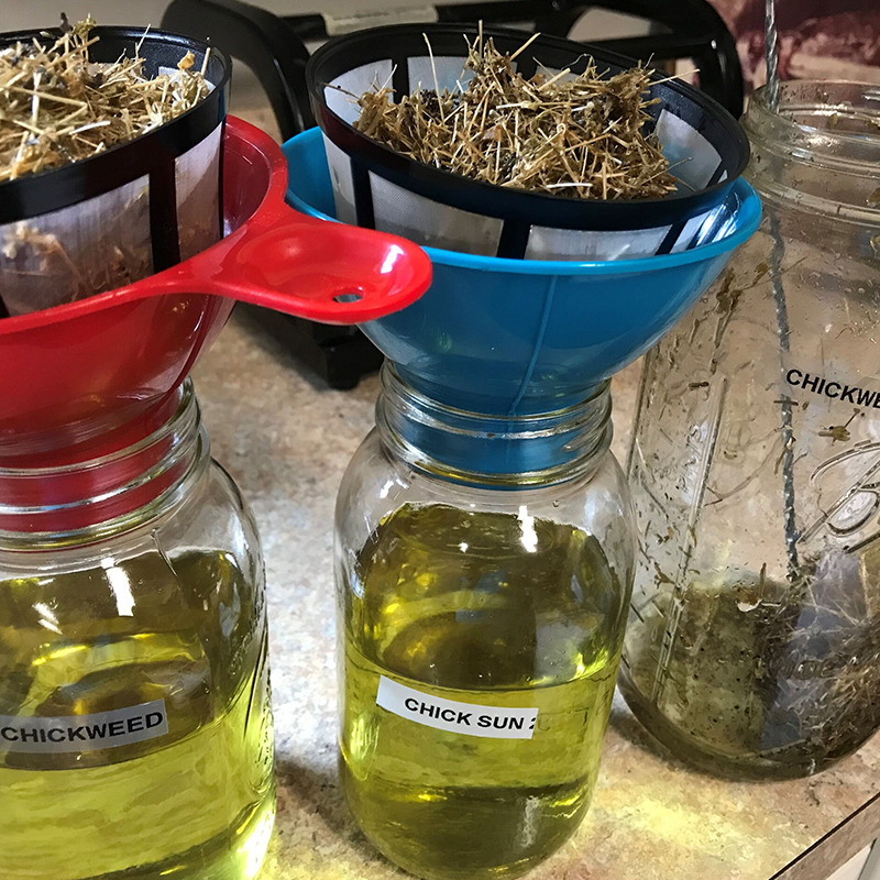 WILD CHICKWEED HERBAL SALVE 🌿