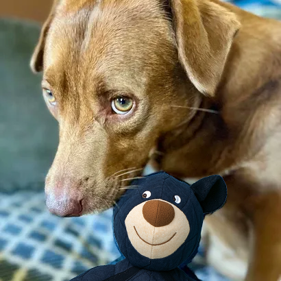 2025 New Unbreak-Bear™ For Heavy Chewers 🐻