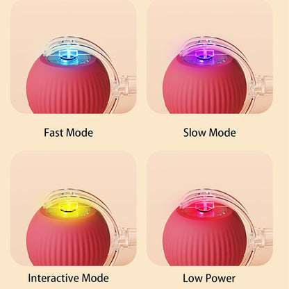 ODALIT™ smart chase pet toy ball