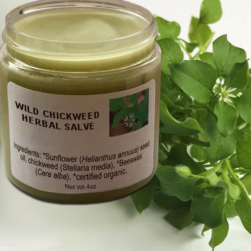 WILD CHICKWEED HERBAL SALVE 2OZ 🌿